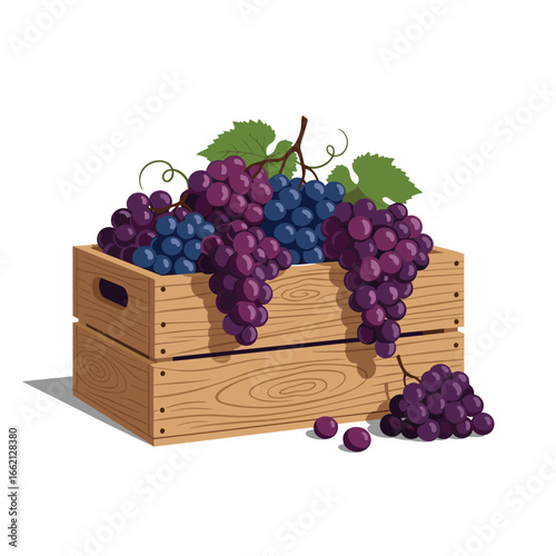 Freshly harvested grapes overflowing from a rustic wooden crate on a white background
