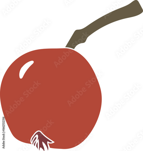 Red fruit of rowan (Sorbus aucuparia) isolated on white background	