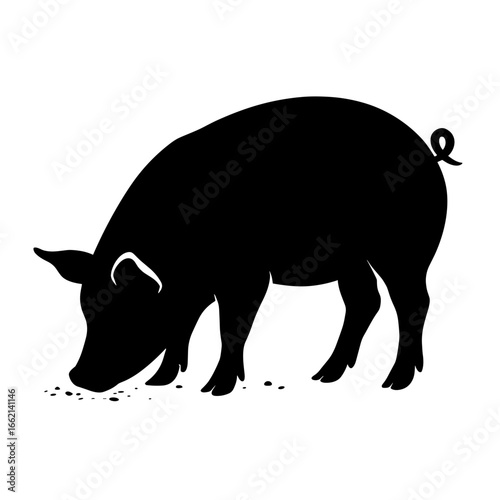 A black silhouette captures the essence of a pig as it forages, showcasing the simple beauty of farm life. The image evokes a sense of rustic charm, and simplicity. vector illustration