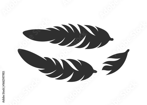 Feather icon set cut out isolated on white background vector icon