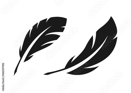 Feather icon set cut out isolated on white background vector icon