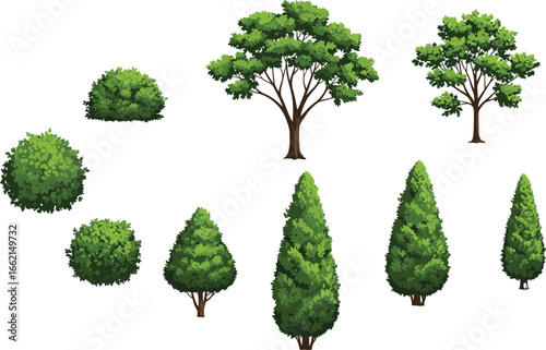 Variety of green trees and bushes, topiary plants, landscape elements, decorative foliage, garden design illustration for outdoor nature projects.