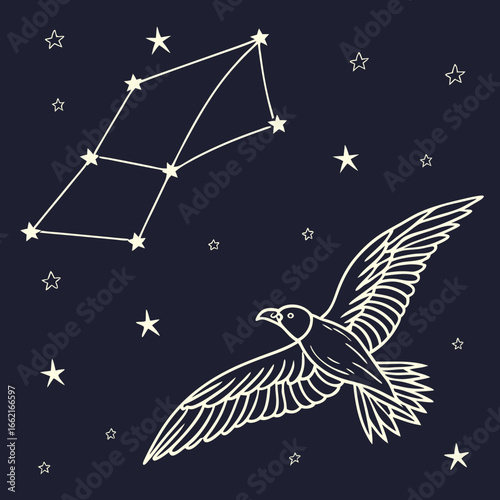 Stylized outline of a bird in flight against a dark night sky filled with constellations and stars