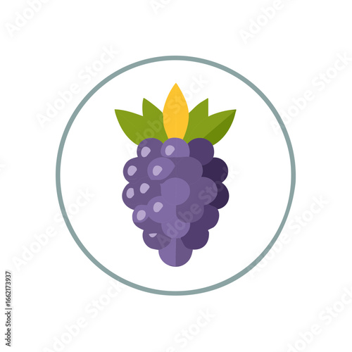 Purple Grapes Cluster Inside Circular Frame Fresh Fruit Healthy Food Illustration