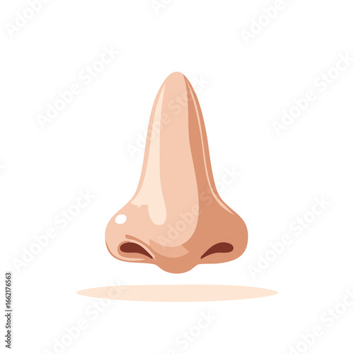 Human nose illustration, cartoon style, front view, skin tones, medical concept, olfaction