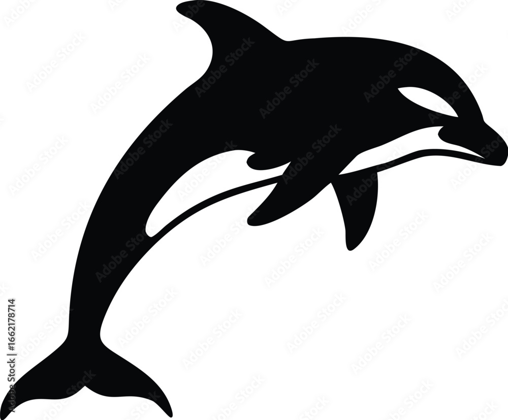 Obraz premium Sleek orca whale leaping gracefully from the water, captured in a dynamic black and white silhouette.