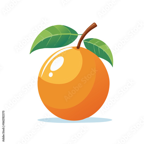 Bright Orange with Leaves, Fruit with Round Shape on White