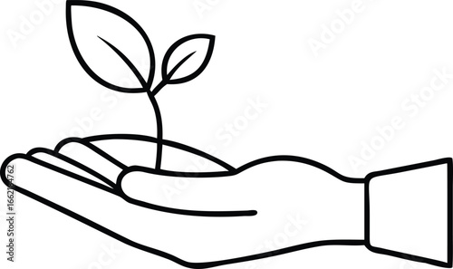 Hand gently holds a sprouting plant seedling