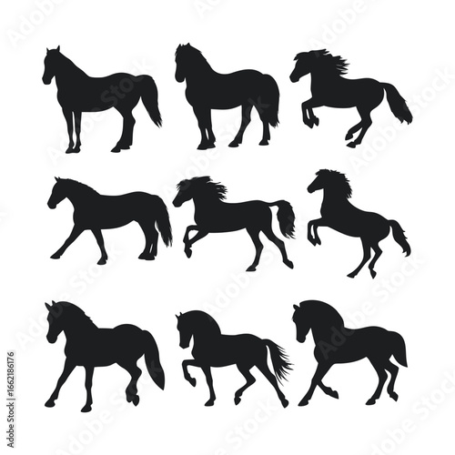 Elegant Black Horse Silhouette Set – Dynamic Equine Poses Collection"