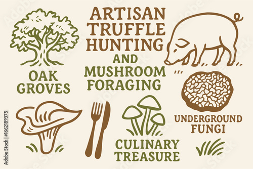 Artisan Truffle Hunting and Mushroom Foraging Vector Illustration