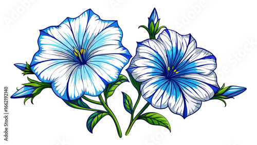 Two delicate white petunia flowers bloom with striking blue veins, fuzzy buds emerging, soft textures glowing, graceful elegance unfolding, natural charm radiating, pure background highlighting detail