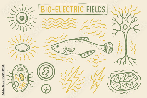 Bio-Electric Fields Doodle Illustration in Vector