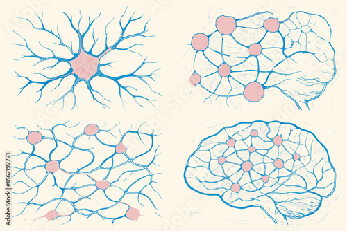 Neurons and Brain Connections Illustration