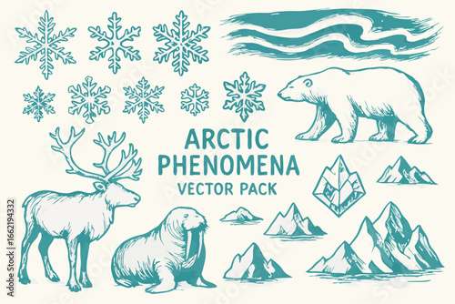 Arctic Phenomena Vector Pack: Vintage Style Illustrations of Northern Wildlife, Ice, and Aurora