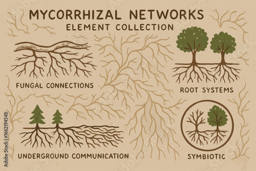 Mycorrhizal Networks Element Collection Illustration