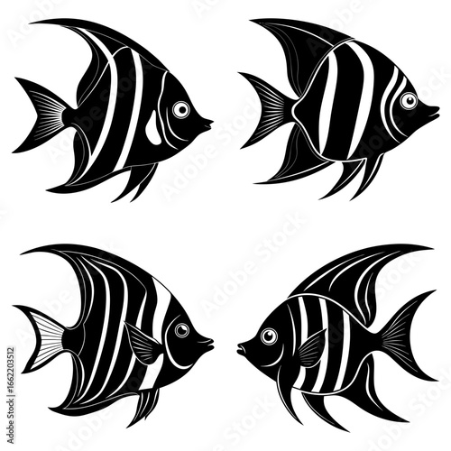 Illustration of four black and white striped fish with detailed fins and expressive eyes facing each other