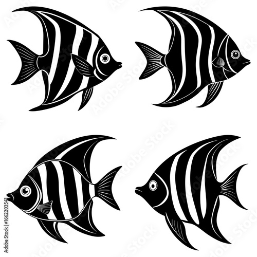 Four stylized black and white striped angelfish swimming in different directions on a white background