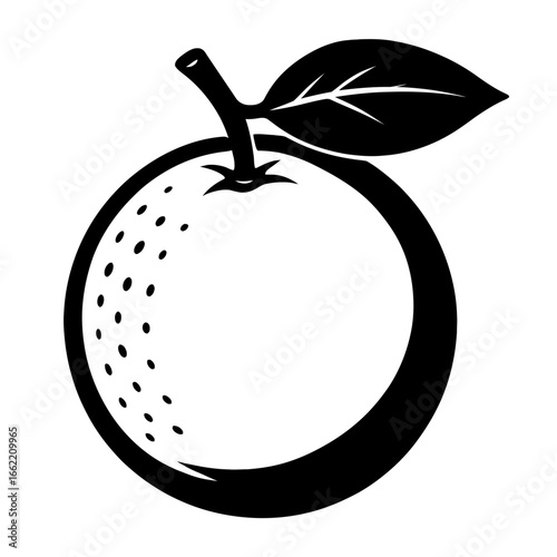 Orange Fruit Vector Illustration - Black And White Citrus Icon