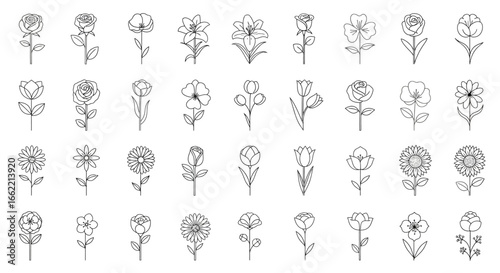 Elegant Collection of Minimalist Flower Line Art Icons for Botanical Designs and Nature-Inspired Graphics