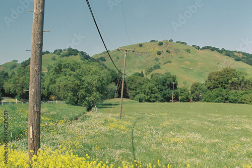 Foto Telephone poles in a meadow in Northern California