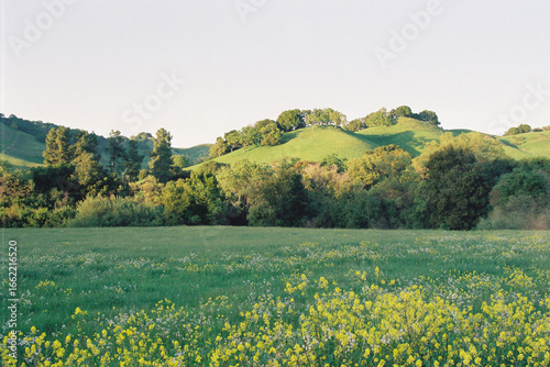Fotografia Sunset hills in the countryside in northern california