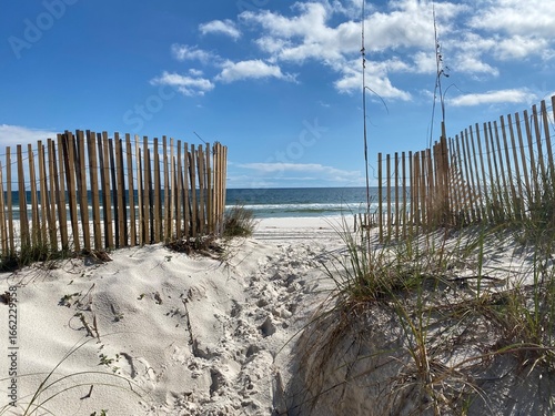 wooden fence on the beach