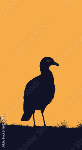 A lone seagull silhouetted against a warm orange sunset sky standing on grass