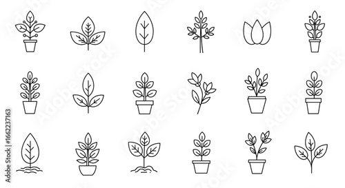 Minimalist linear plant and foliage icon set for botanical design projects