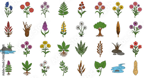 Collection of various botanical plants and flowers in detailed colorful style for nature and garden themes