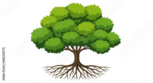 Vibrant flat design tree with lush foliage and detailed roots on white background