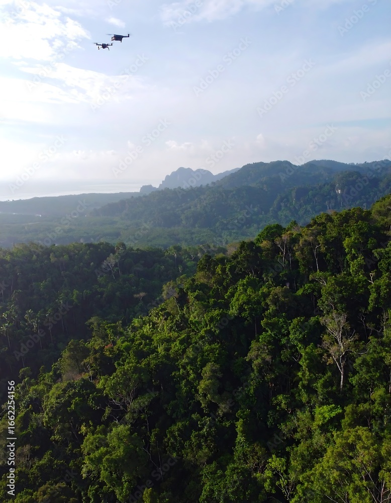 Naklejka premium Aerial view of lush tropical landscape
