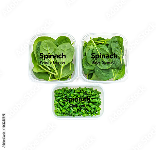 Fresh Leafy Green Spinach Varieties Ready for Your Kitchen