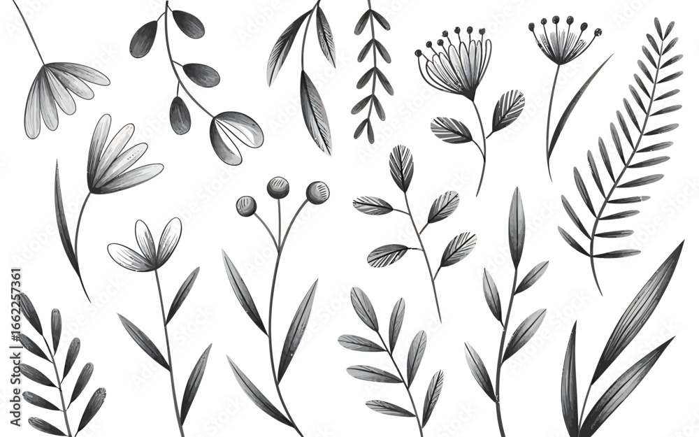 Fototapeta premium Elegant black and white pencil sketch illustration