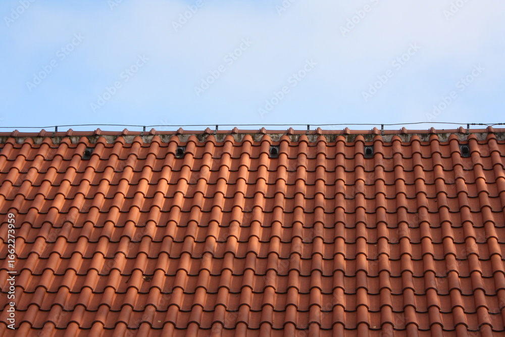 Naklejka premium old roof tiles