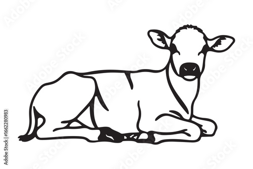 Simple line art drawing of a young calf lying down peaceful farm animal