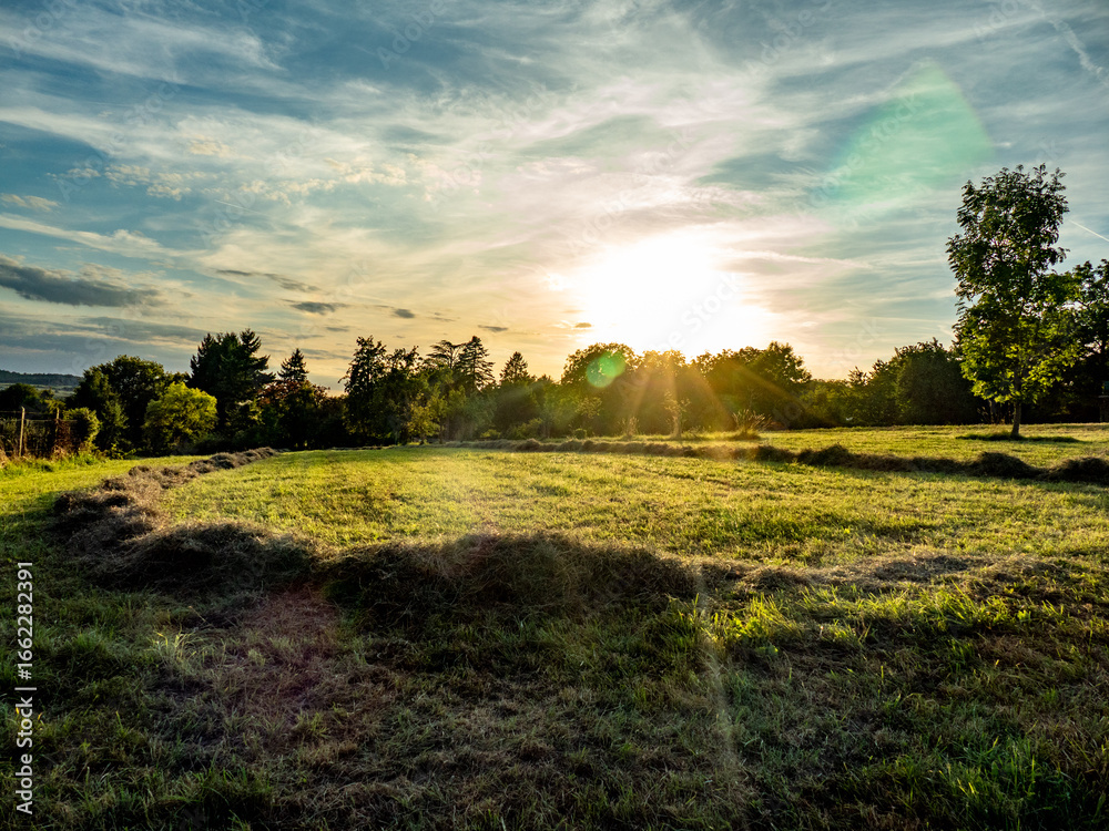 Obraz premium Frisch gemähte Wiese