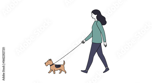 Woman walking dog enjoying outdoor leisure activity on a sunny day with happy pet companion isolated on transparent background