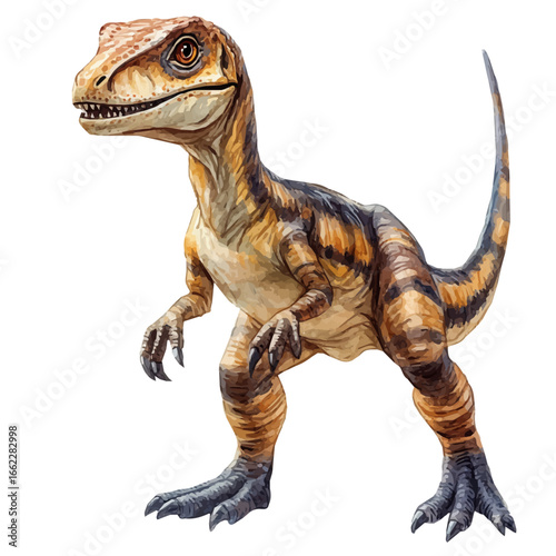 Velociraptor, watercolor drawing vector, isolated on a white background.