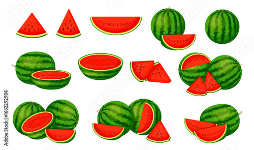 Set of fresh and sweet watermelons in cartoon style. Vector illustration of delicious watermelons with seeds: whole, cut, halves, slices, triangles isolated on white background. Summer fruits.