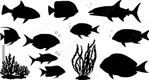 sea animals, fish, algae set silhouette ,on white background, vector
