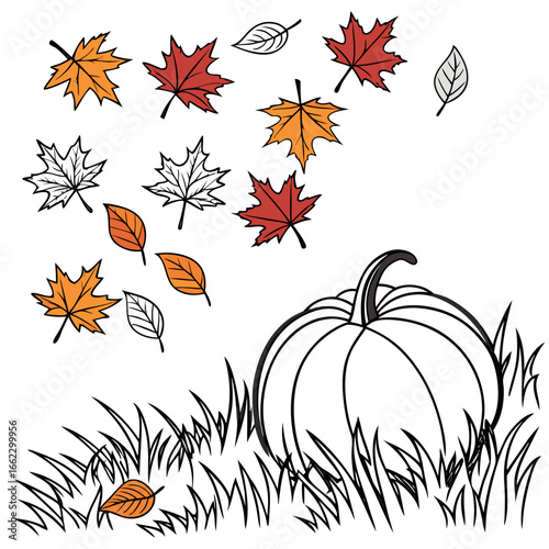 Thanksgiving in flat style. Many colorful autumn leaves with congratulating pumpkin in grass on white background. Stylish autumn holiday card with space for text coloring page black and white