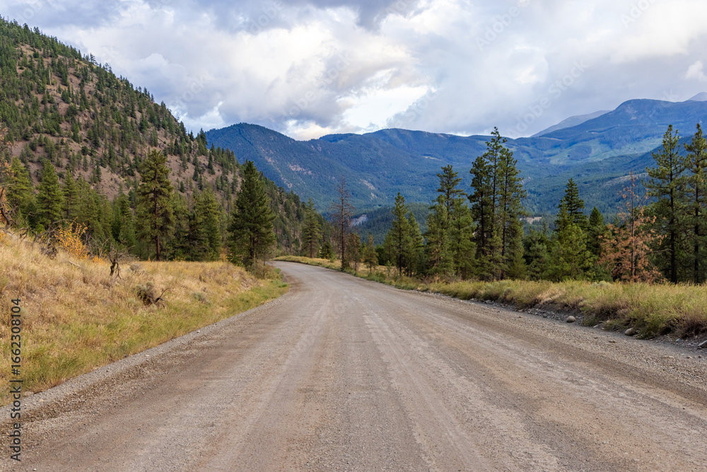 Fototapeta premium Scenic Mountain Trail Through Lush Forest in British Columbia, Canada
