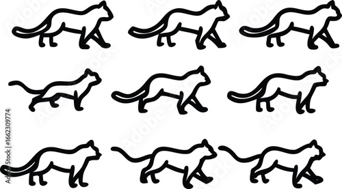  set of leopard