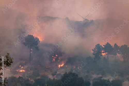Canvas Print Forest Engulfed in Flames and Smoke During Nighttime Wildfire