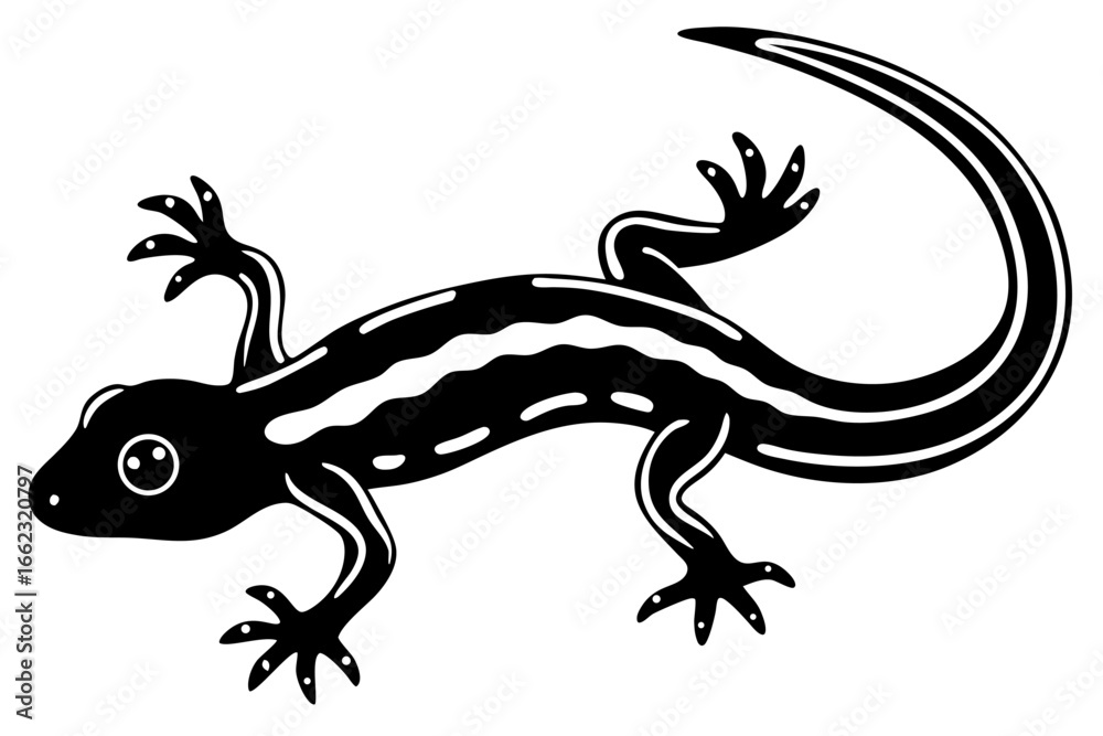 Obraz premium Lizard, reptile, or gecko isolated on a white background