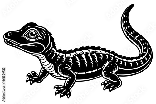 Green iguana, a wild reptile, with a long tail on a white studio background