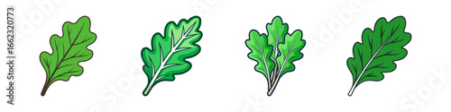 Cartoon illustration of green leafy herbs-Set of cartoon style green leafy herbs with detailed veins, isolated on white background, symbolizing organic food, nutrition, and freshness.