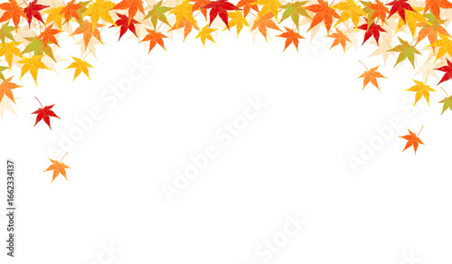 Maple Design_Horizontal_Upper frame design