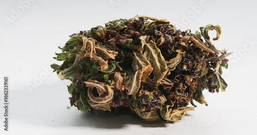 cannabis dry bud close up medical marijuana