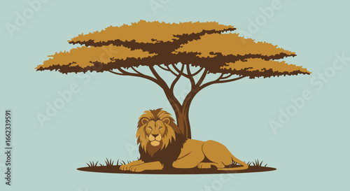 Lion relaxing under acacia tree african savanna illustration calm environment side view wildlife concept. Vector illustration